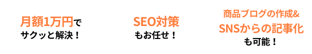 月額1万円でサクッと解決！SEO対策もお任せ！商品ブログの作成&SNSからの記事化も可能！